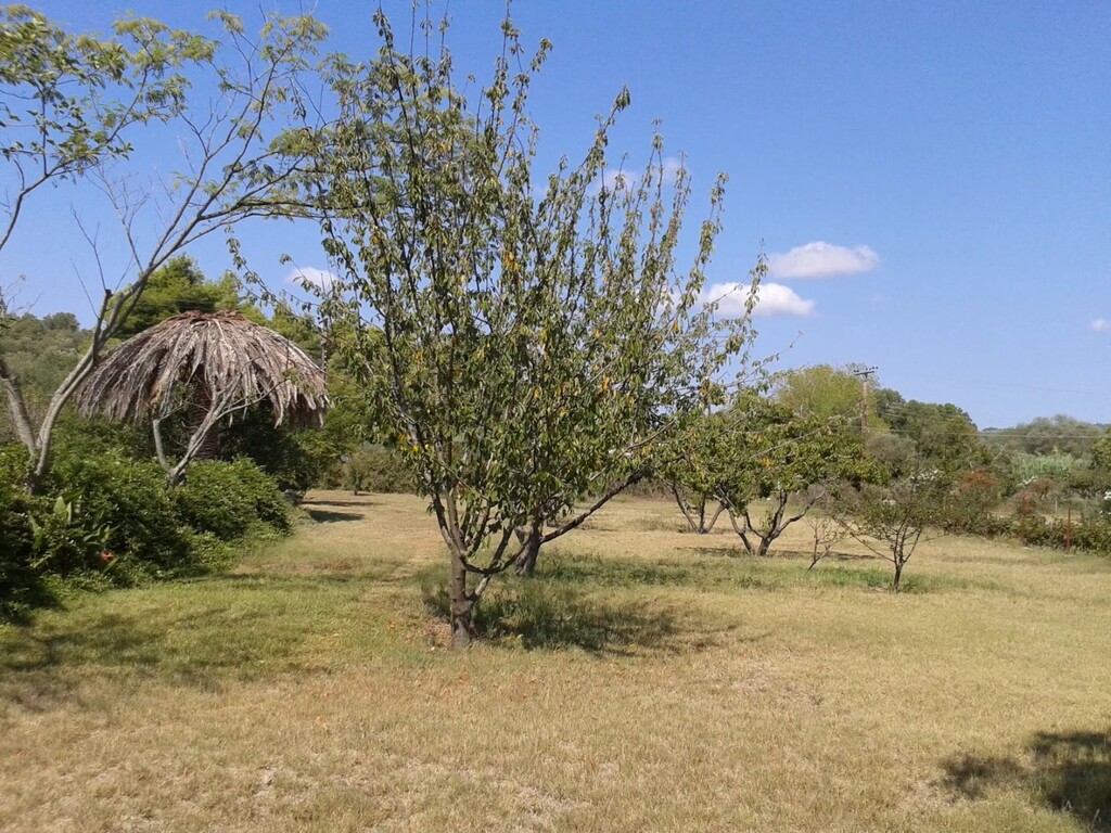 Дом на Кассандре, Греция, 340 м² - фото 17