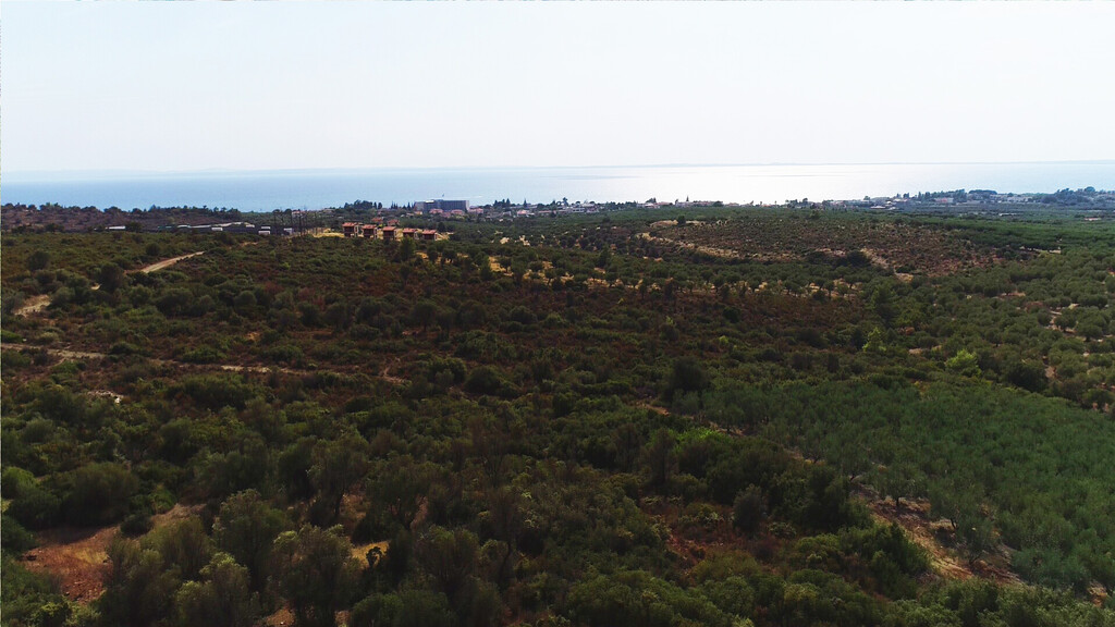 Земля в Ситонии, Греция, 37 500 м² - фото 17