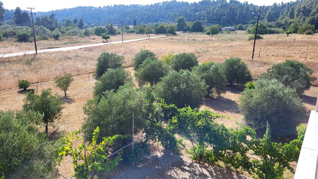 Дом на Кассандре, Греция, 200 м² - фото 17