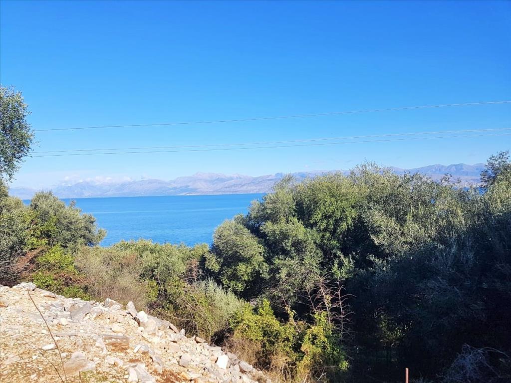 Земля на Корфу, Греция, 12 000 м² - фото 17