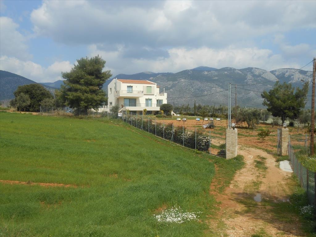 Дом в Аттике, Греция, 230 м² - фото 17