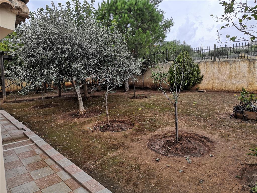 Дом в Аттике, Греция, 300 м² - фото 17