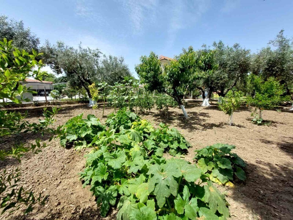 Дом в Ситонии, Греция, 85 м² - фото 17