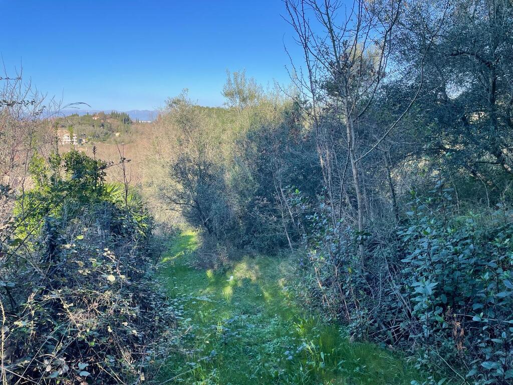 Земля на Корфу, Греция, 14 529 м² - фото 17