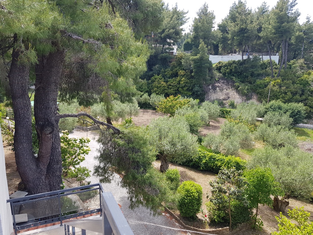 Дом на Кассандре, Греция, 140 м² - фото 17