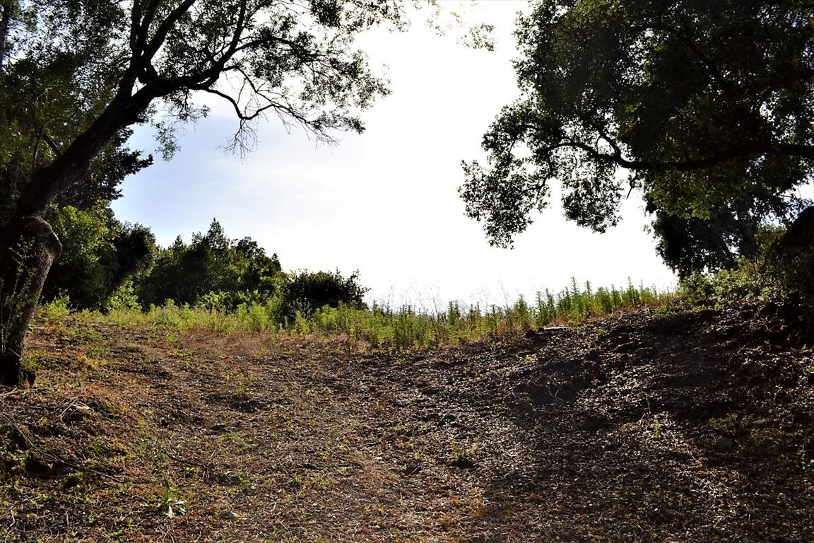 Земля на Корфу, Греция, 33 000 м² - фото 17