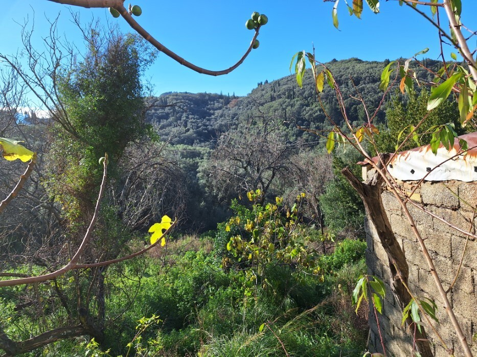 Мезонет на Корфу, Греция, 121 м² - фото 17