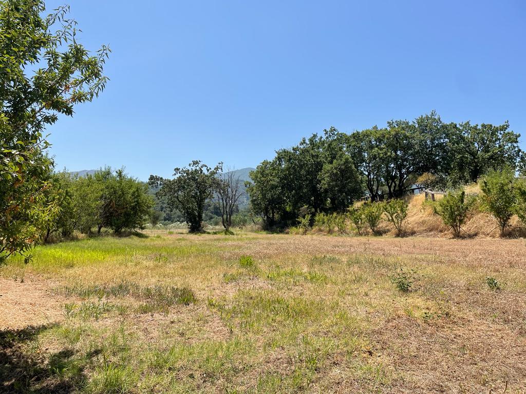 Земля на Корфу, Греция, 26 159 м² - фото 17