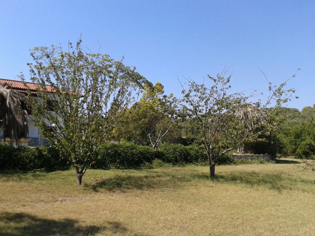 Дом на Кассандре, Греция, 340 м² - фото 18