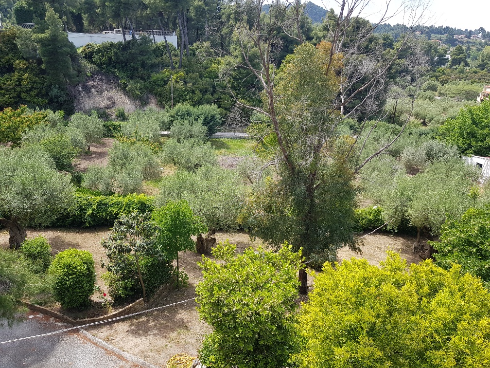 Дом на Кассандре, Греция, 140 м² - фото 18