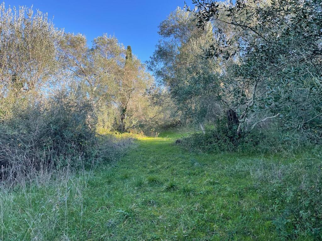 Земля на Корфу, Греция, 14 529 м² - фото 18