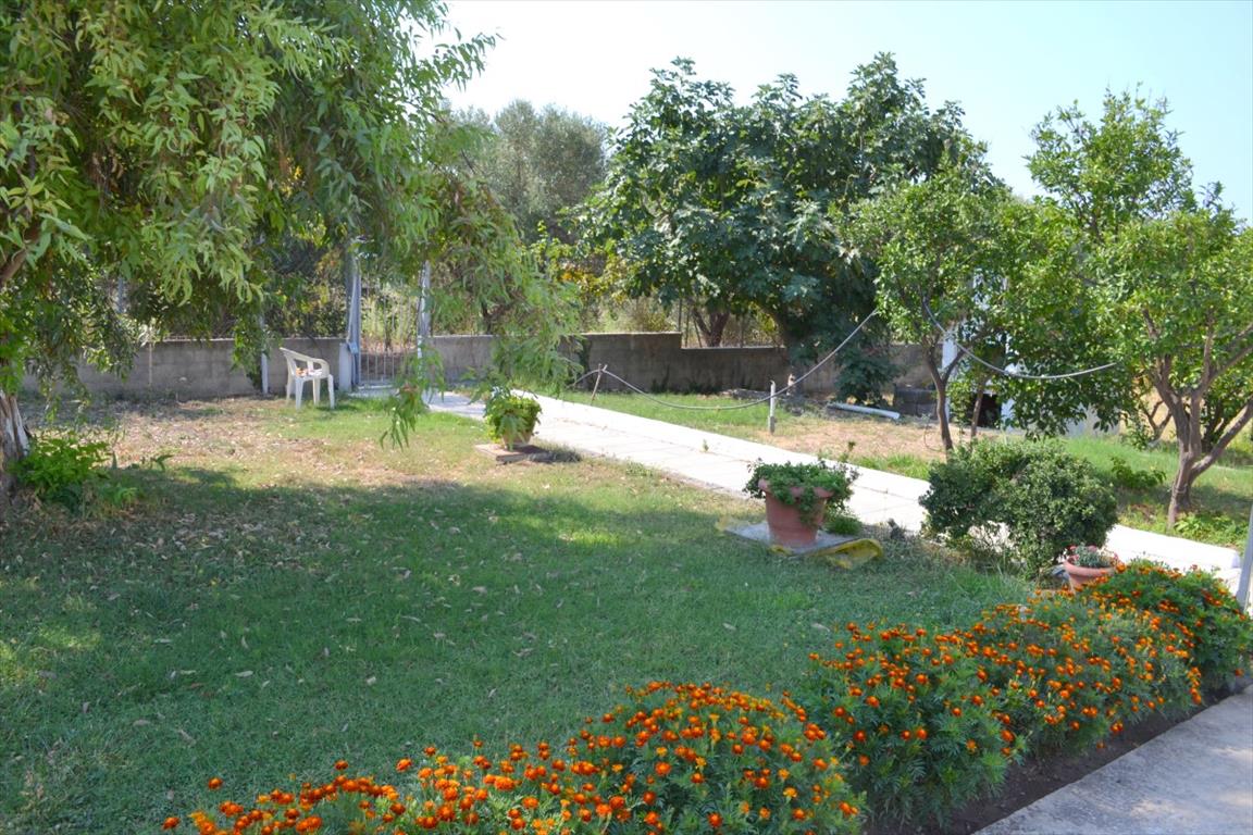 Дом на Кассандре, Греция, 200 м² - фото 18