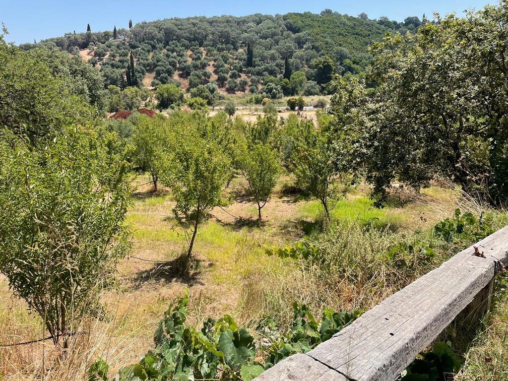 Земля на Корфу, Греция, 26 159 м² - фото 18