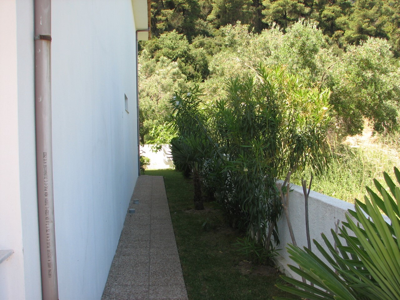 Дом на Кассандре, Греция, 240 м² - фото 18