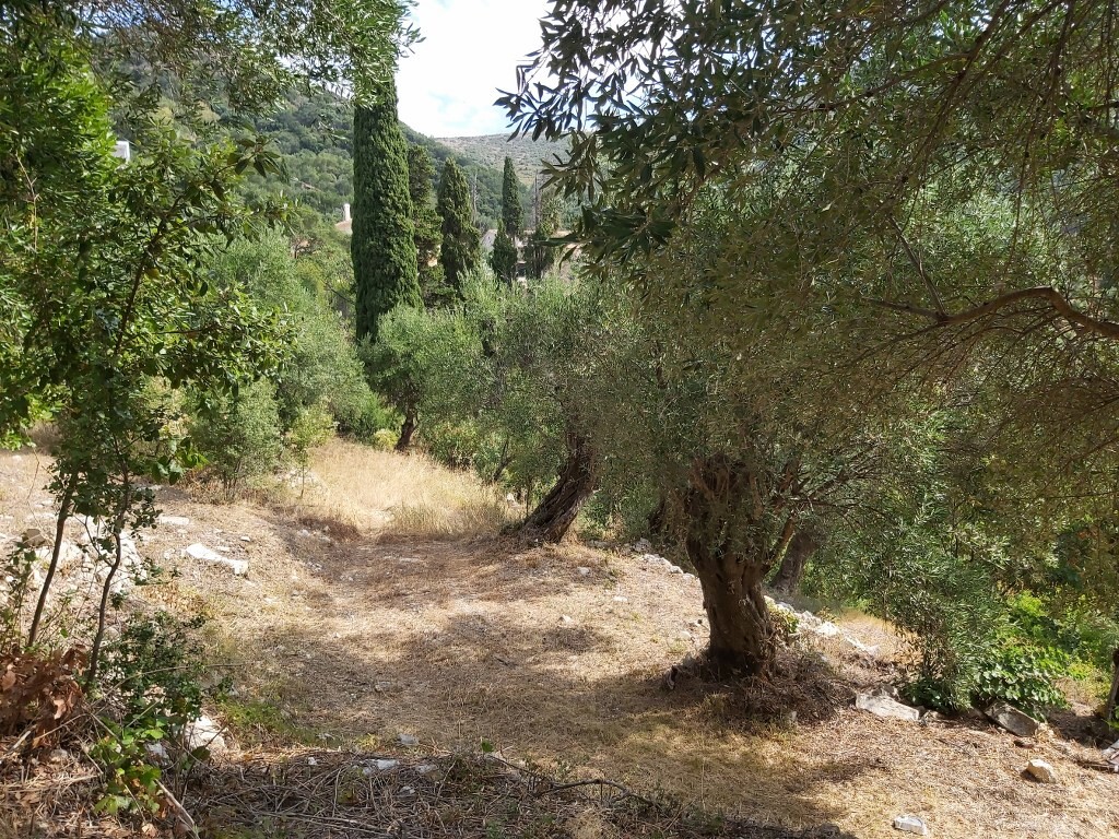 Земля на Корфу, Греция, 18 000 м² - фото 18