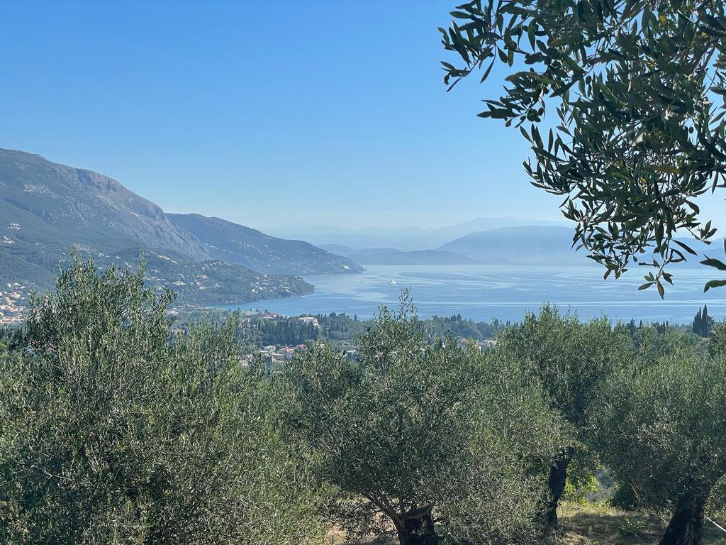 Земля на Корфу, Греция, 2 569 м² - фото 18