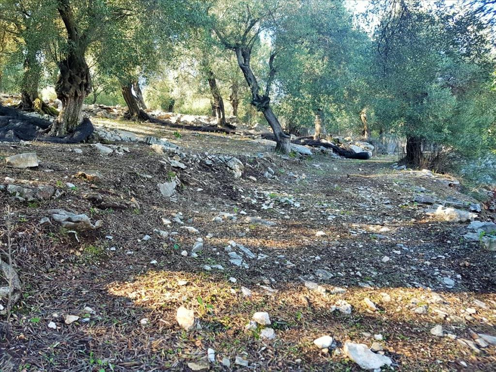 Земля на Корфу, Греция, 12 000 м² - фото 18