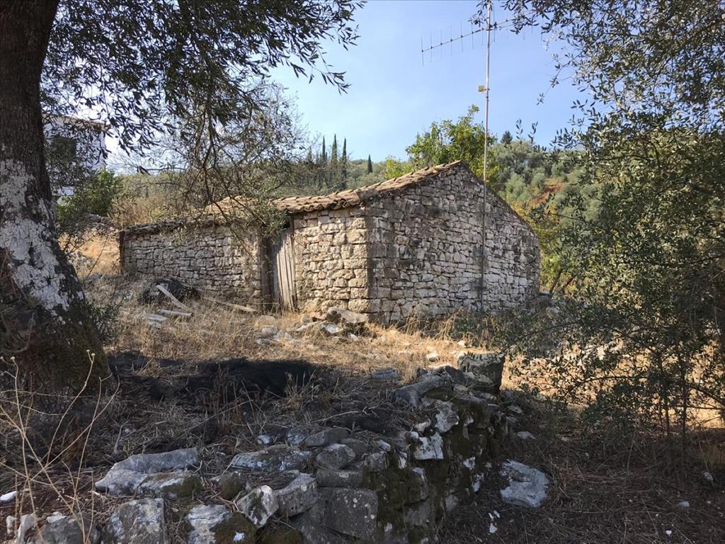 Земля на Корфу, Греция, 4 000 м² - фото 18