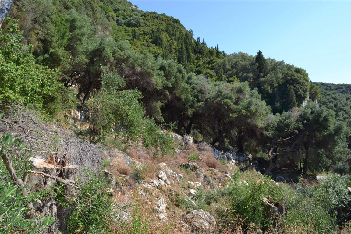 Земля на Корфу, Греция, 6 260 м² - фото 18