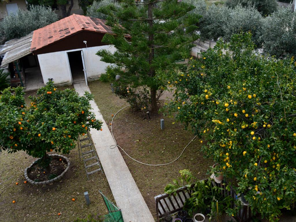 Мезонет в Аттике, Греция, 220 м² - фото 18