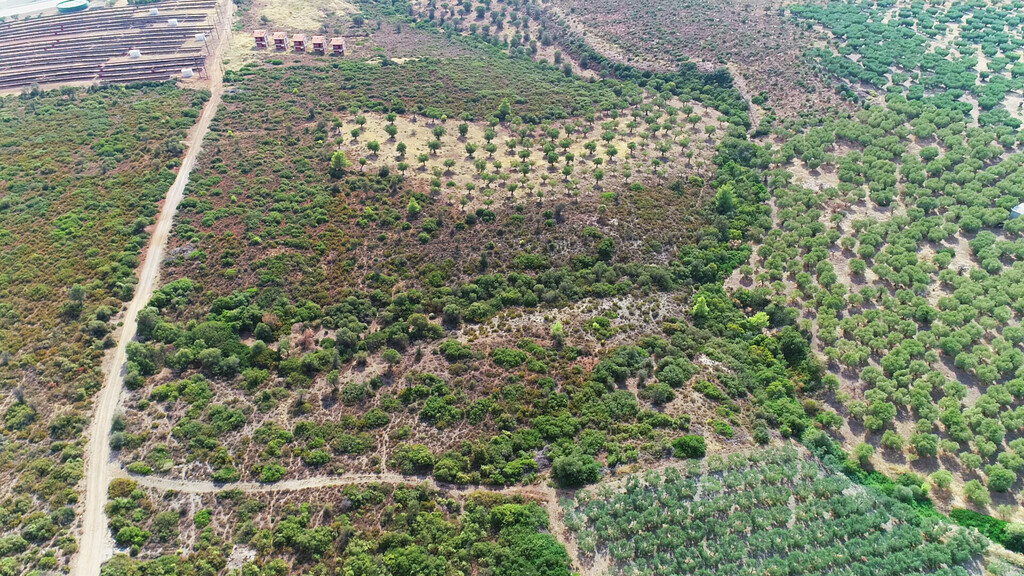 Земля в Ситонии, Греция, 37 500 м² - фото 19