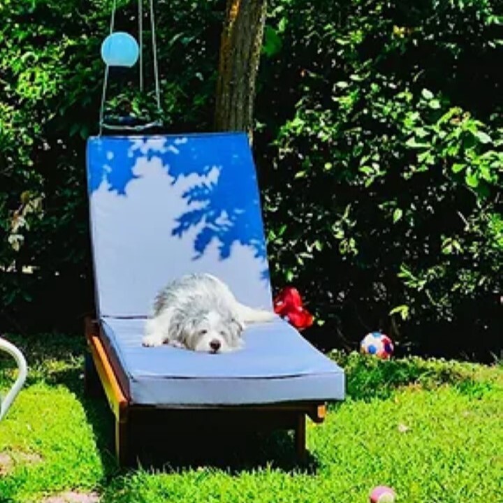 Дом в Ситонии, Греция, 65 м² - фото 19