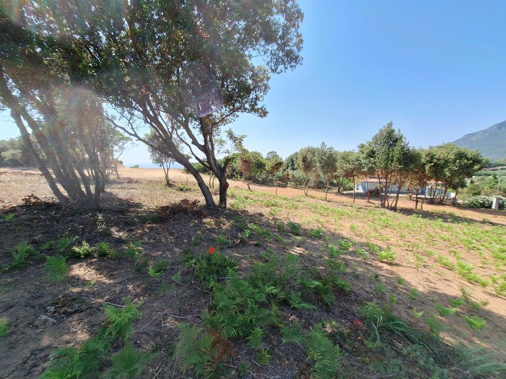 Земля на Корфу, Греция, 17 439 м² - фото 19