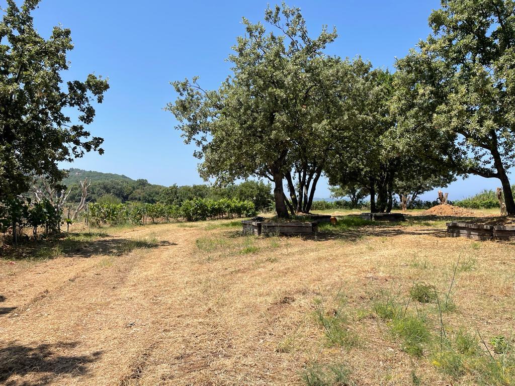 Земля на Корфу, Греция, 26 159 м² - фото 19