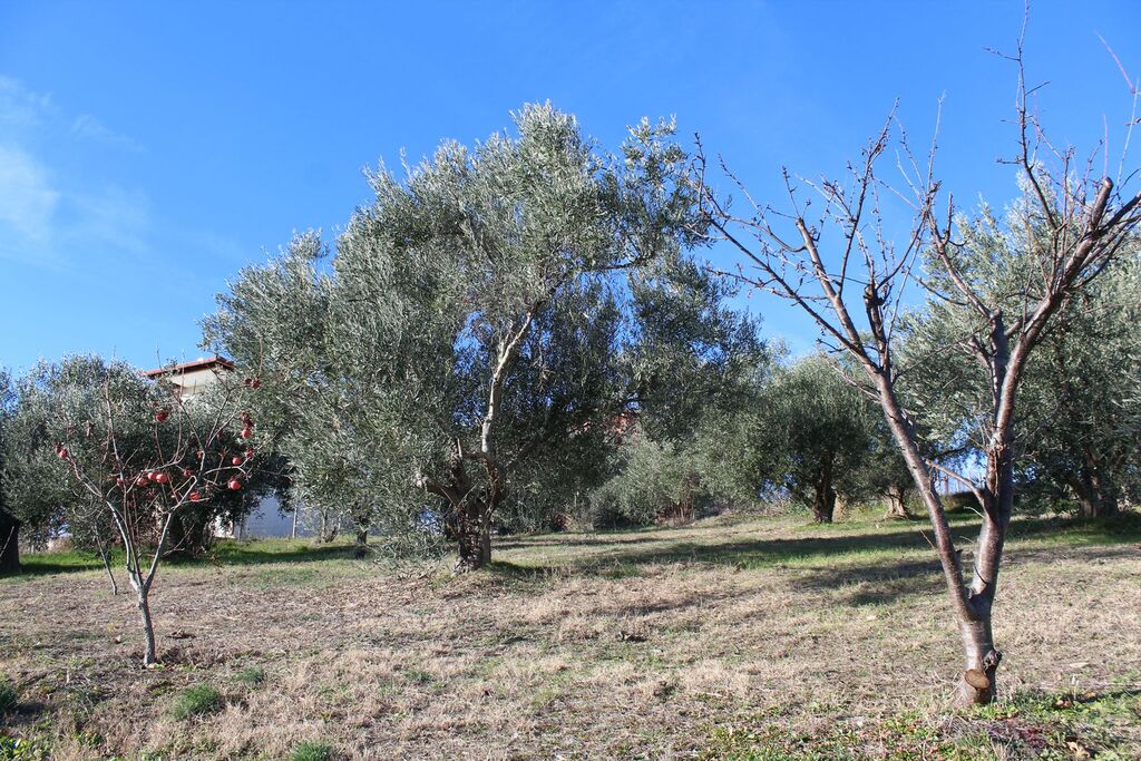 Мезонет в Олимпиаки-Акти, Греция, 100 м² - фото 19