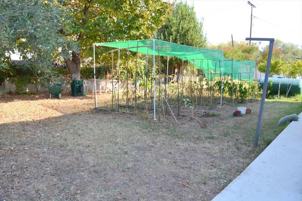 Дом на Кассандре, Греция, 200 м² - фото 19