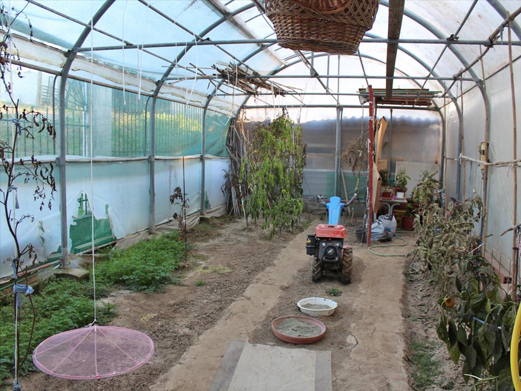 Дом в Олимпиаки-Акти, Греция, 158 м² - фото 19