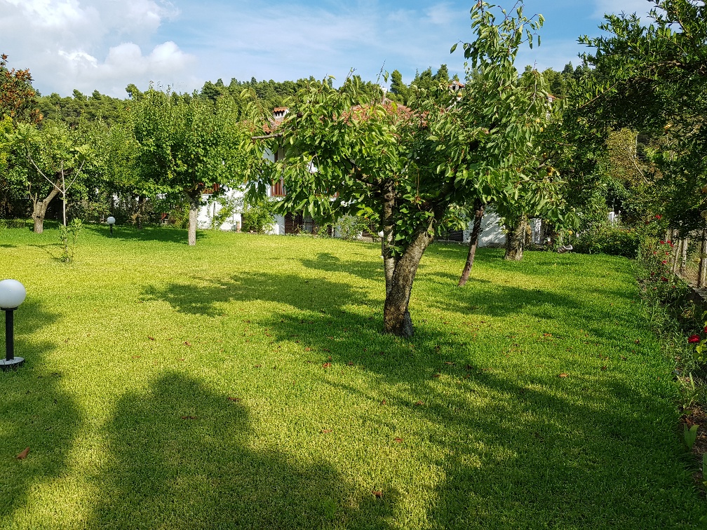 Дом на Кассандре, Греция, 305 м² - фото 19