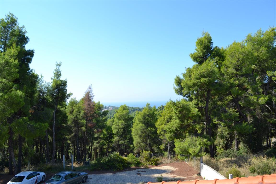 Мезонет на Кассандре, Греция, 360 м² - фото 19