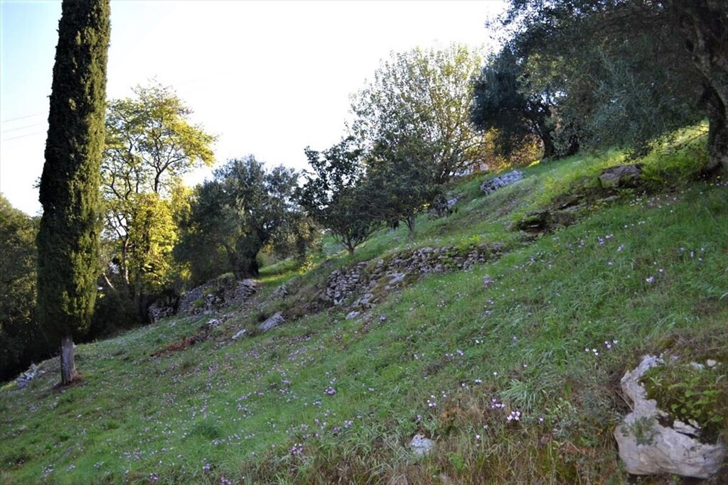 Дом на Корфу, Греция, 164 м² - фото 19