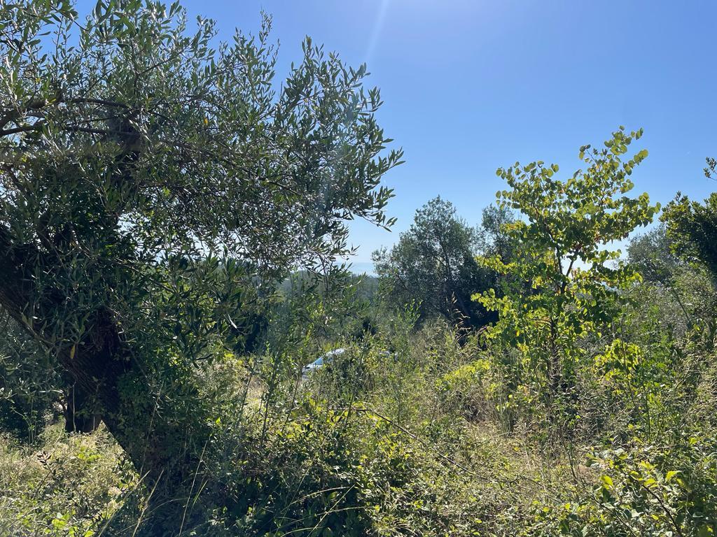 Земля на Корфу, Греция, 2 569 м² - фото 19