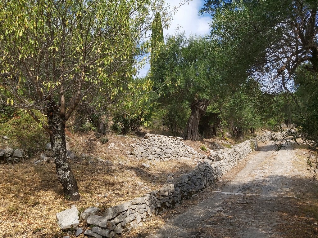 Земля на Корфу, Греция, 18 000 м² - фото 19