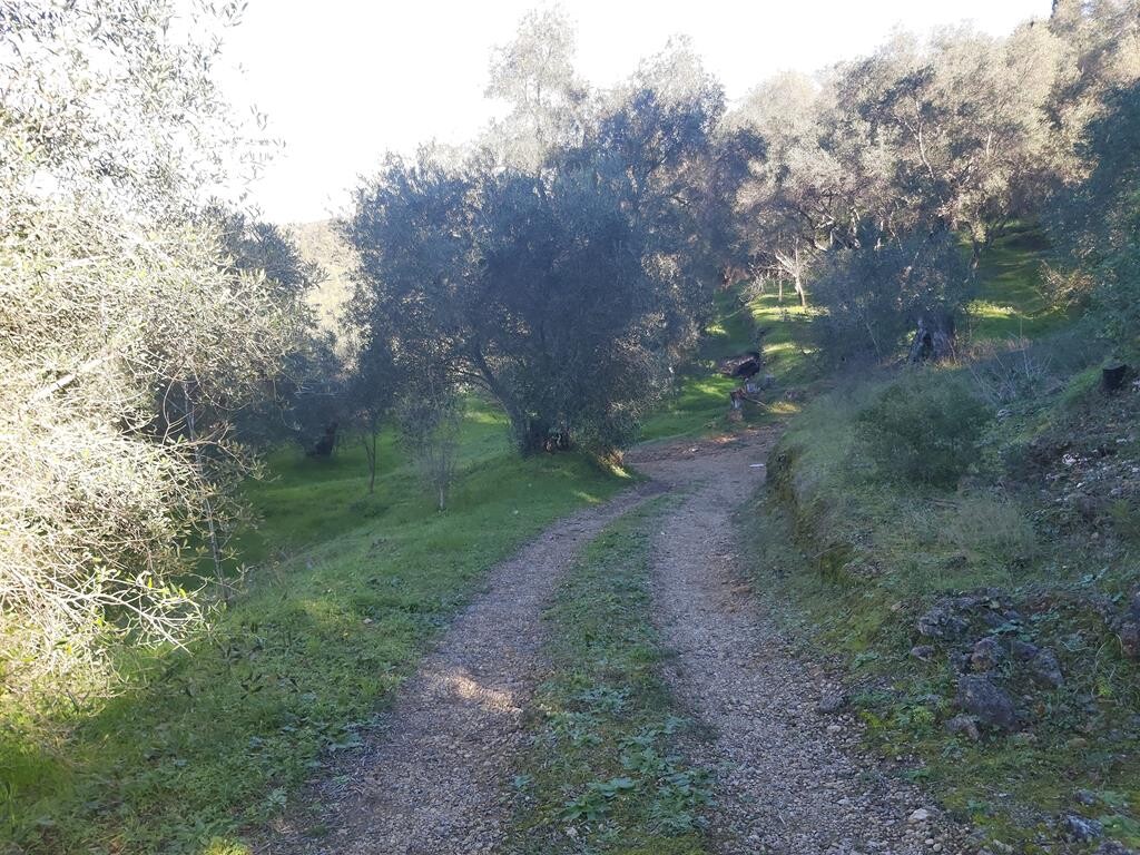 Земля на Корфу, Греция, 7 000 м² - фото 19