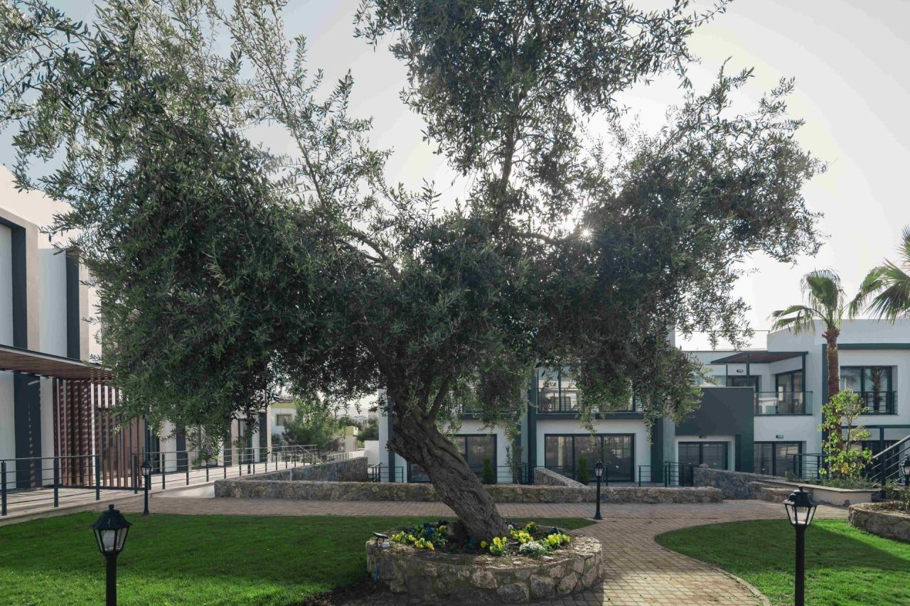 Апартаменты в Кирении, Кипр, 307 м² - фото 2