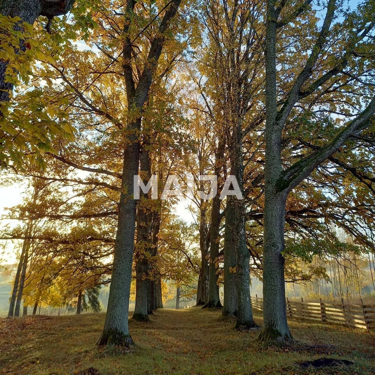 Вилла Vandzene, Латвия, 1 250 м² - фото 8