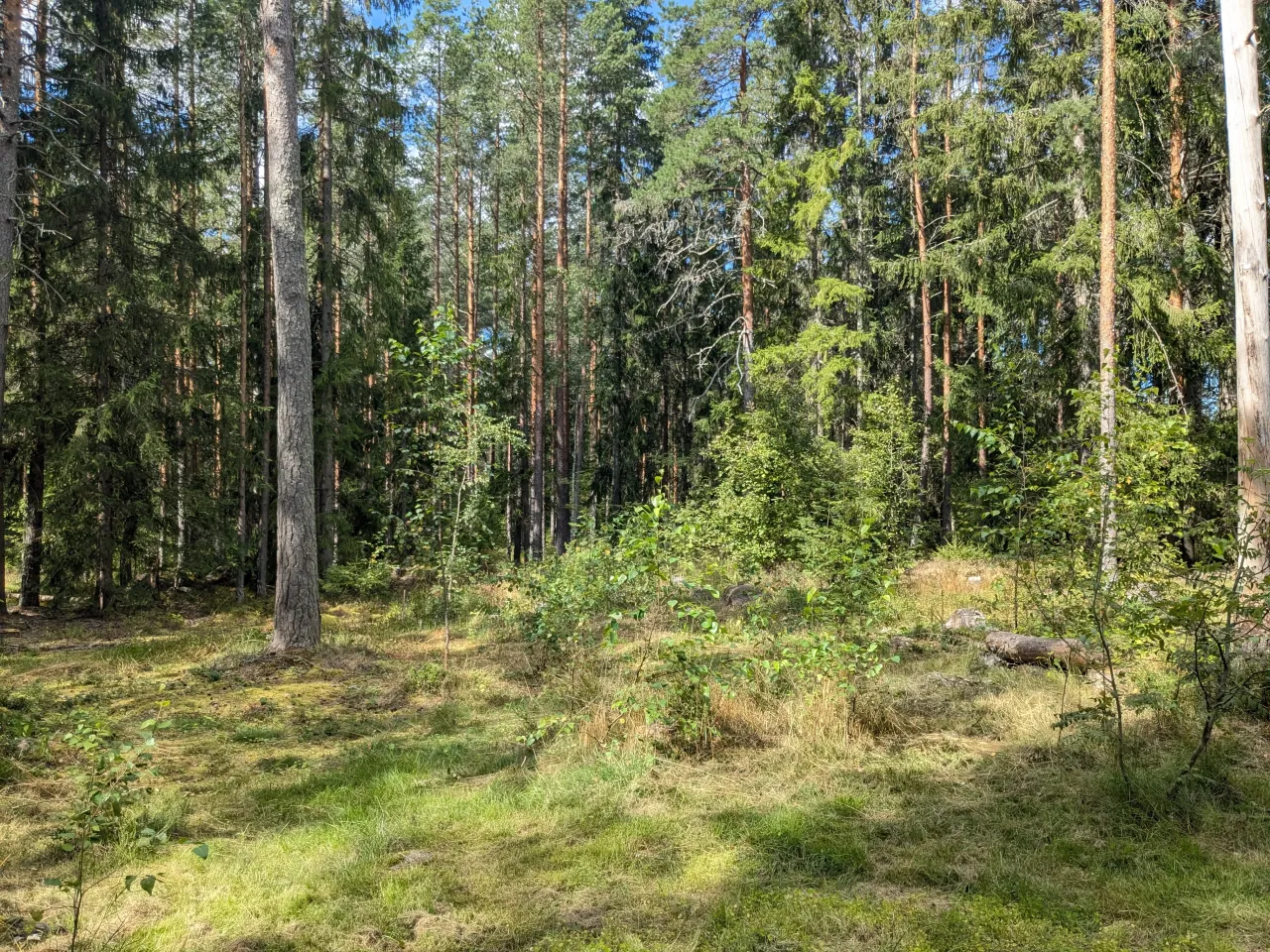 Дом в Коуволе, Финляндия, 96 м² - фото 17