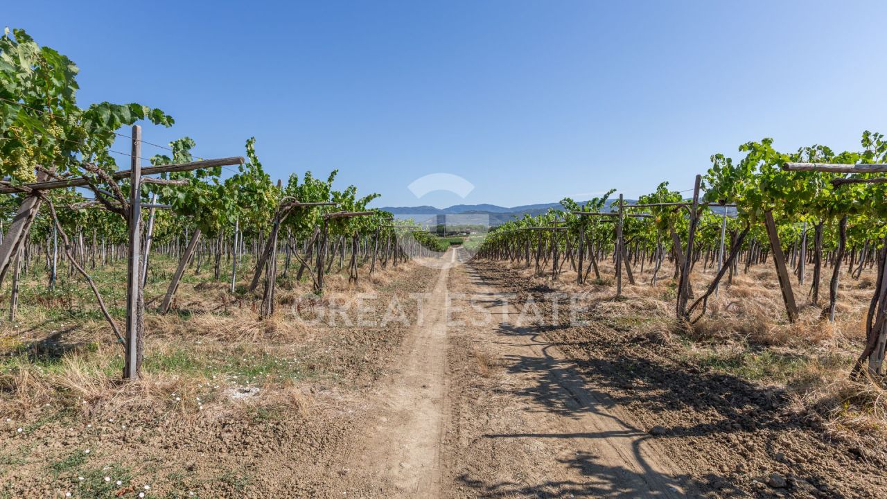 Дом в Кортоне, Италия, 466.45 м² - фото 3