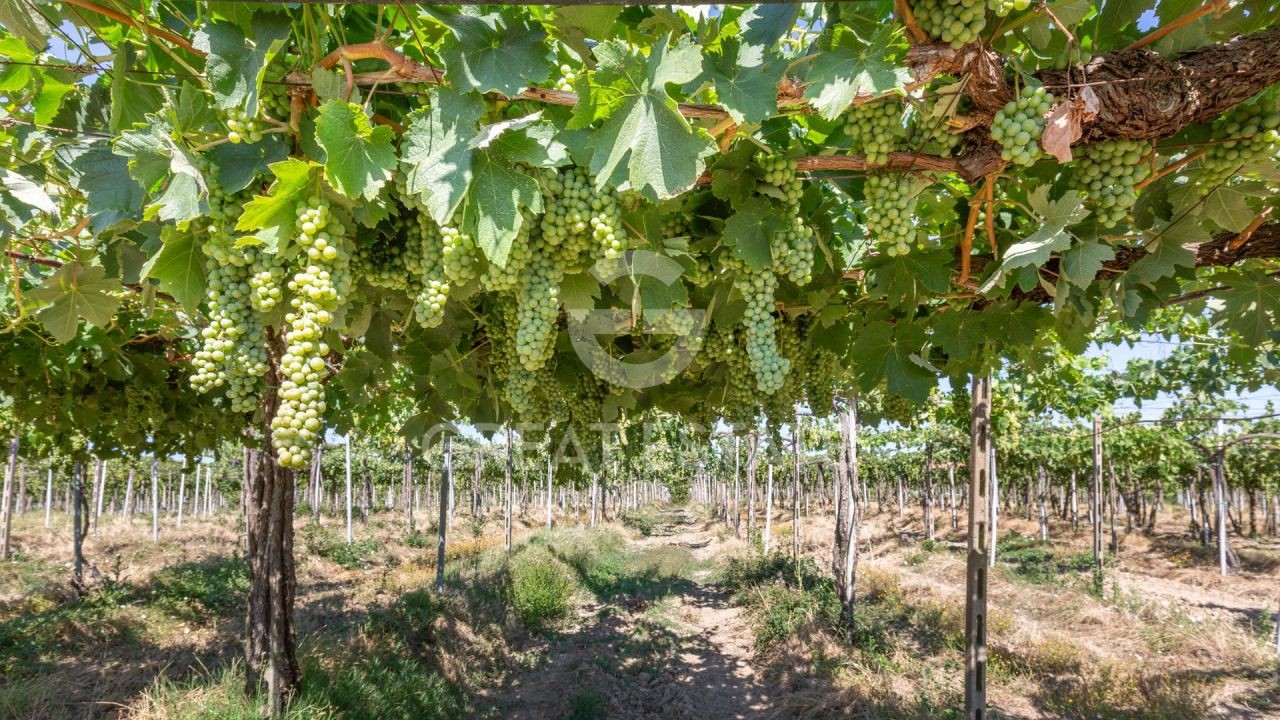 Дом в Кортоне, Италия, 466.45 м² - фото 5