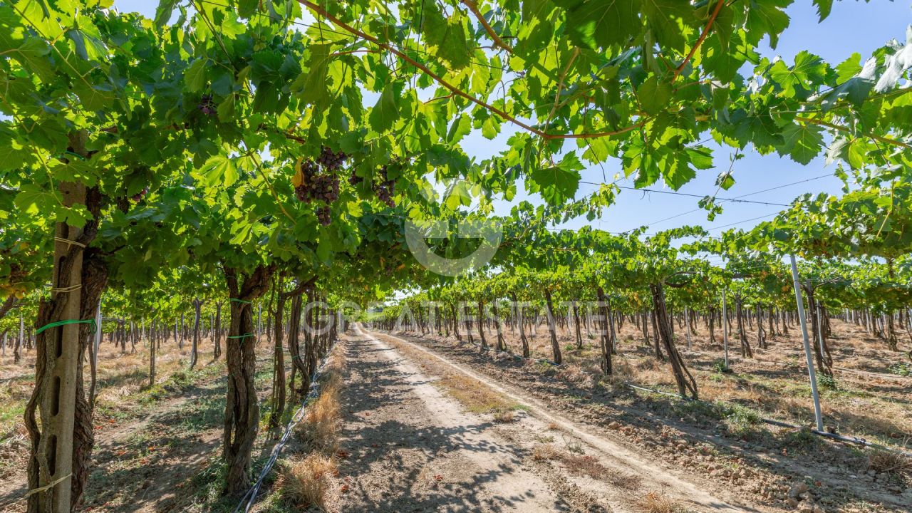 Дом в Кортоне, Италия, 466.45 м² - фото 6