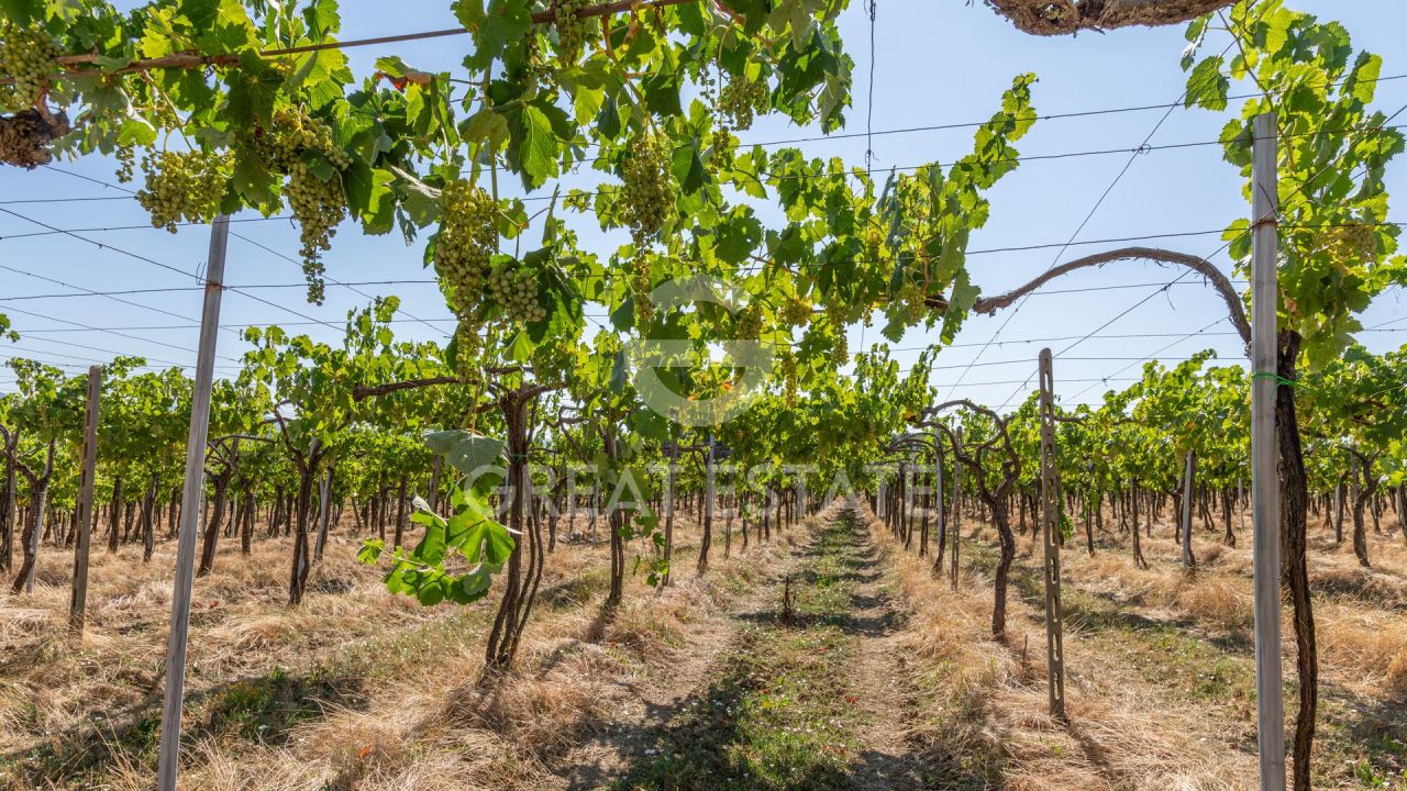 Дом в Кортоне, Италия, 466.45 м² - фото 7