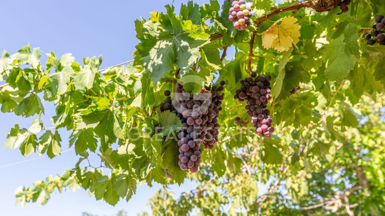 Дом в Кортоне, Италия, 466.45 м² - фото 8