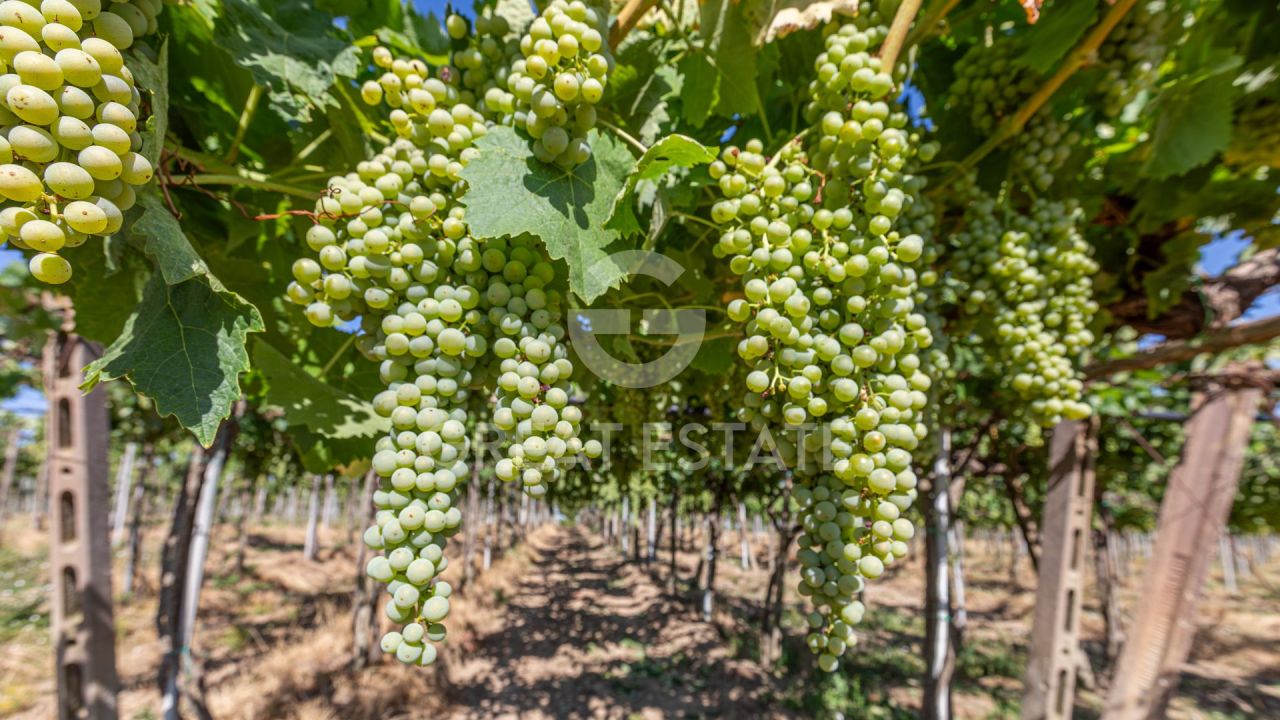 Дом в Кортоне, Италия, 466.45 м² - фото 9