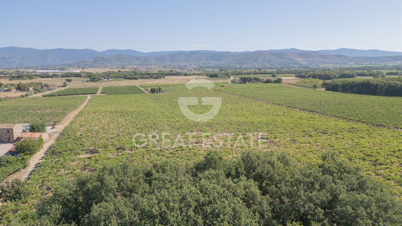 Дом в Кортоне, Италия, 466.45 м² - фото 14