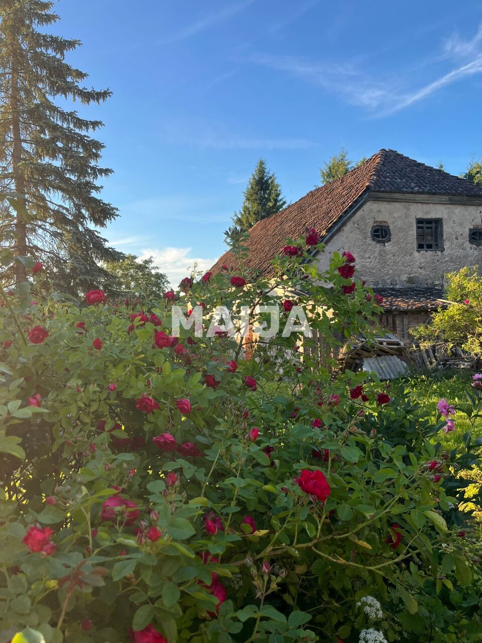 Вилла Vandzene, Латвия, 1 250 м² - фото 3