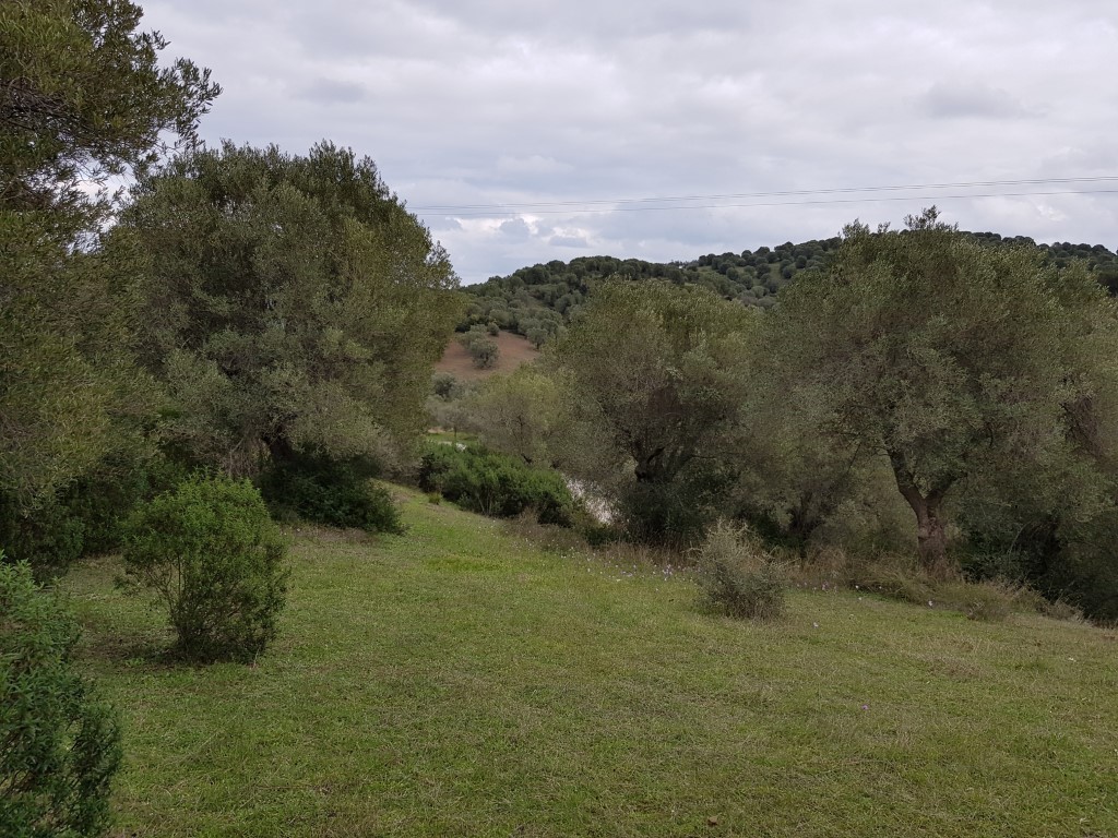 Земля на Кассандре, Греция, 13 289 м² - фото 2