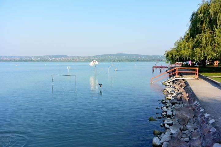 Земля Balatonfűzfő, Венгрия, 150 000 м² - фото 9